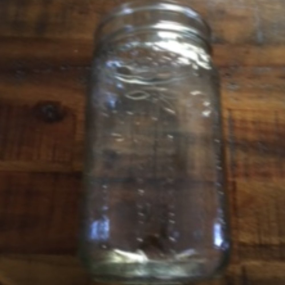Mason jar flower arrangment vase